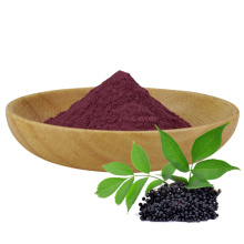 Black elderberry extract powder Improve immunity